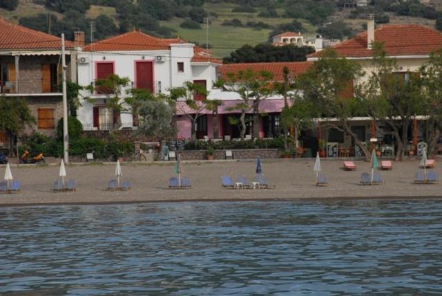 Dimitra Daire Petra  Dış mekan fotoğraf